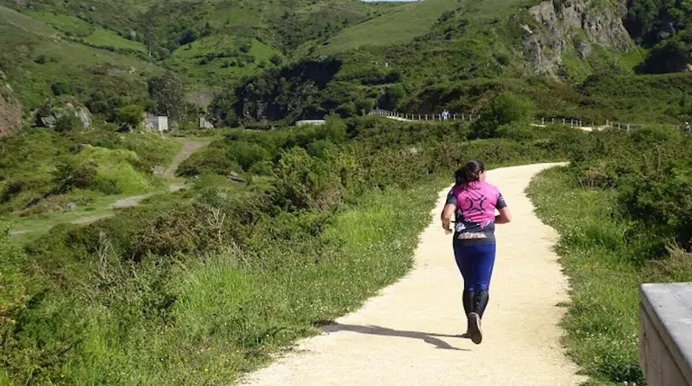 orientacion-jesus-delafuente-la-arboleda