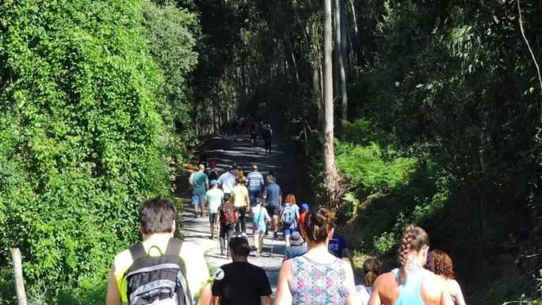 Participantes en la marcha