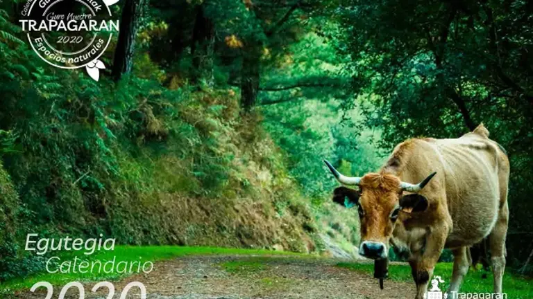 La foto que preside el calendario de este año