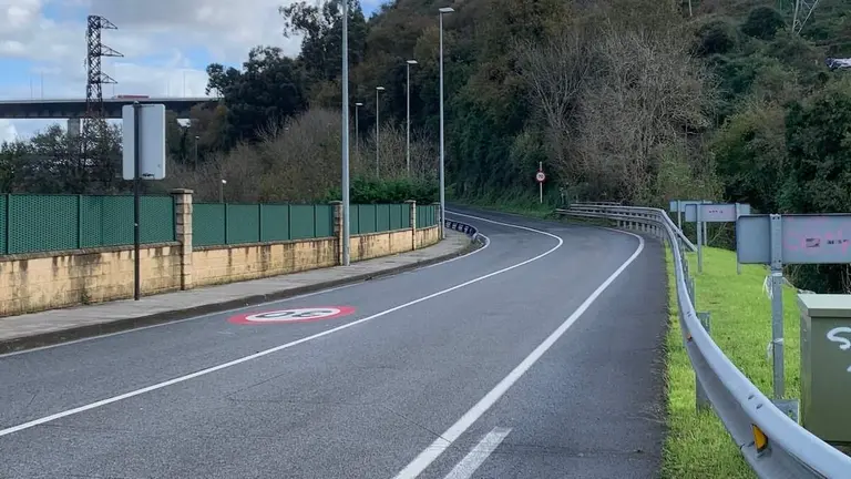 arboles-carretera-trapagaran