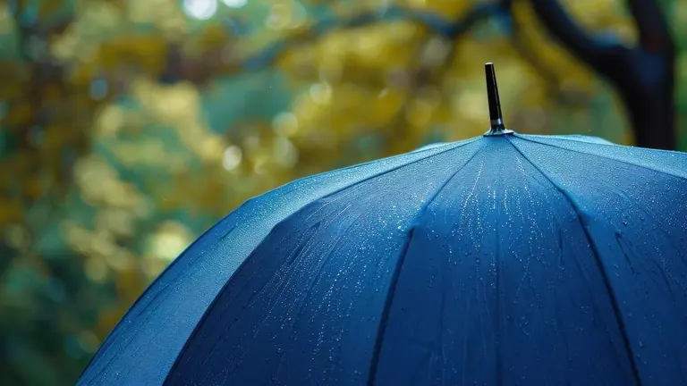 comercio-trapagaran-paraguas