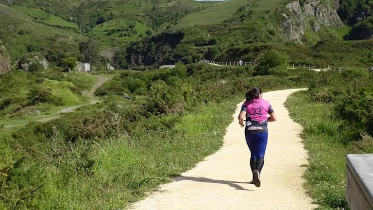 orientacion-jesus-delafuente-la-arboleda